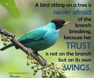 1965062_540110499440701_6326165467806685236_n